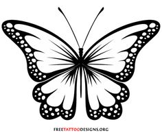 Black and white butterfly clipart images