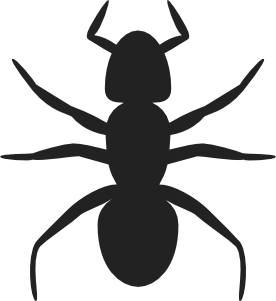 Ant clip art - vector clip art online, royalty free & public domain