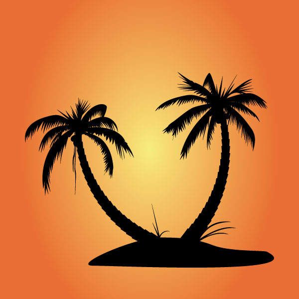 Palm Tree Silhouette | Tree ...