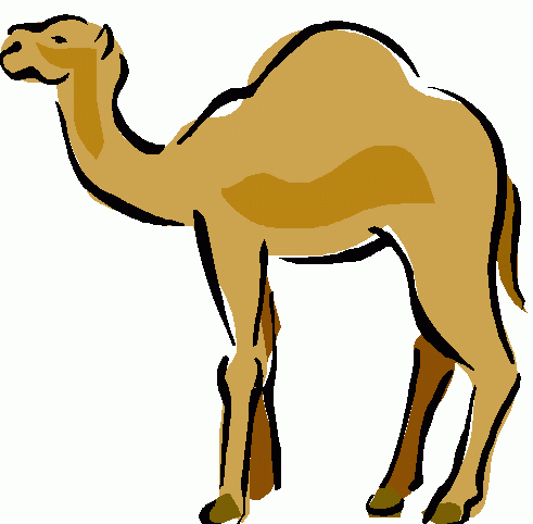 Free camel clipart cartoon
