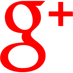 Red google plus icon - Free red social icons