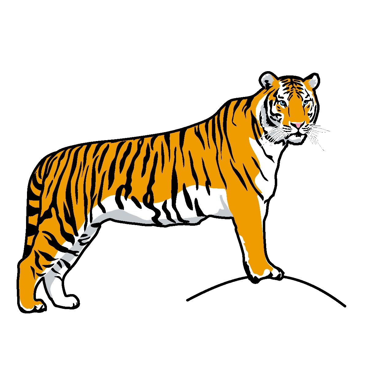 555 views Tiger Clipart For Kids