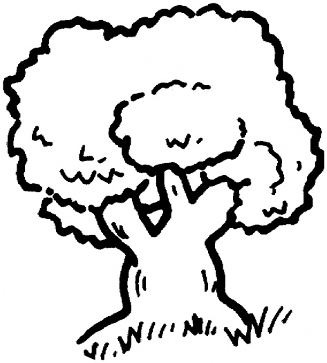 Oak Tree Outline coloring page | Super Coloring