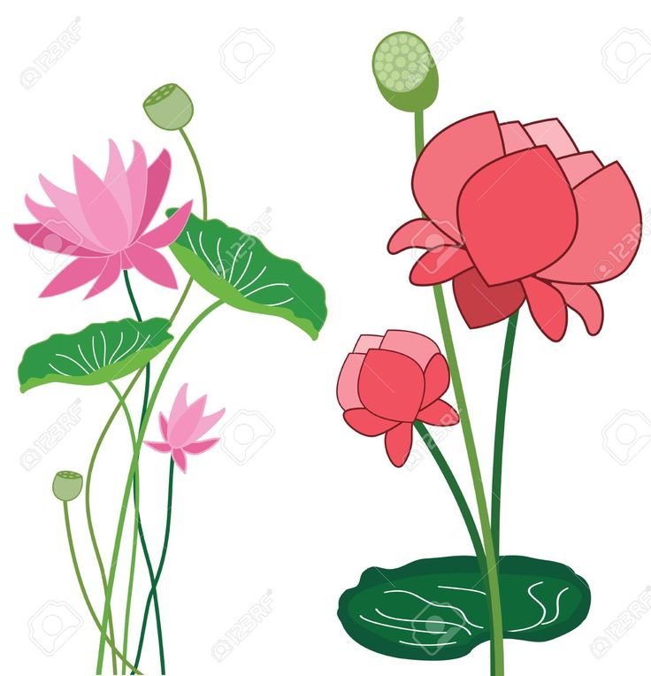 Flower Banner Clip Art - ClipArt Best