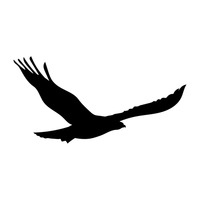 Crow Crows Raven Ravens Bird Birds Animal Animals Tombstone ...