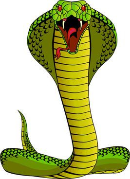 Snake free vector download (366 Free vector) for commercial use ...