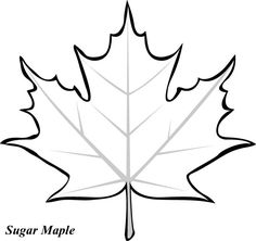 templates -- every time I see a leaf template I think it could be ...