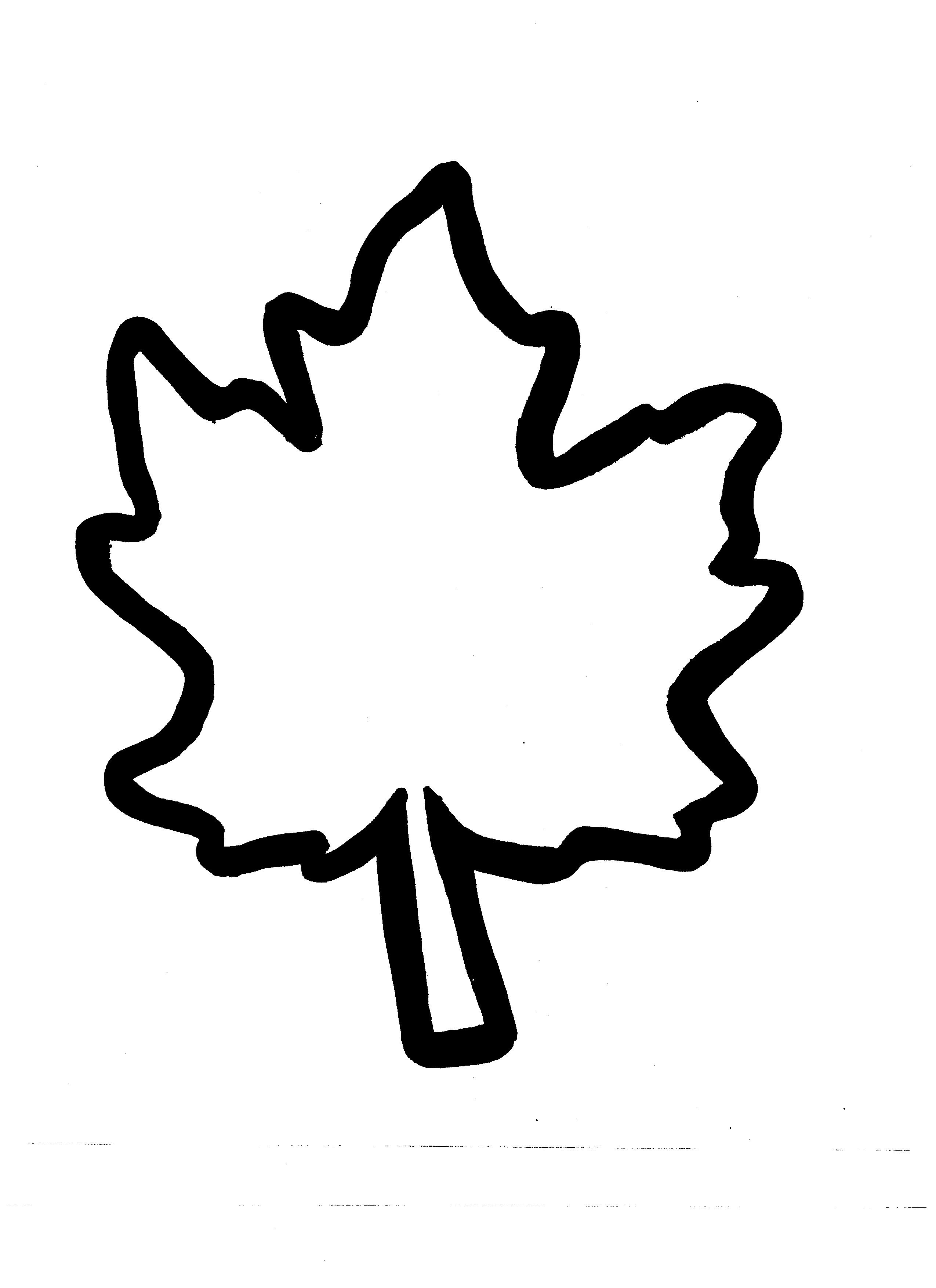 Fall leaves outline clipart