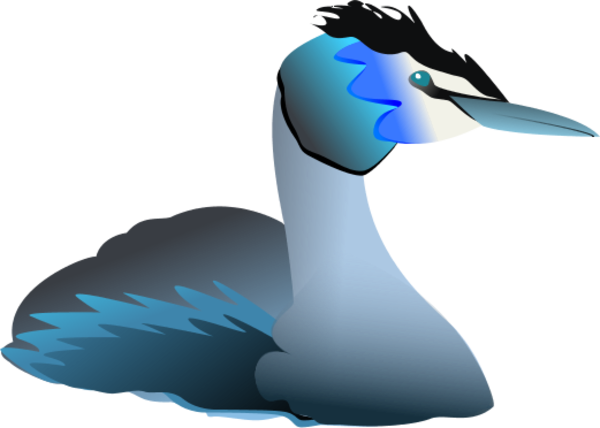 3D Duck Swimming - vector Clip Art