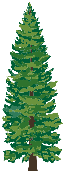 Pine Tree Clipart Png - ClipArt Best - ClipArt Best