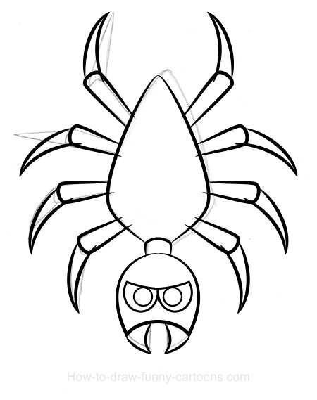 Spider drawing (Sketching + vector)