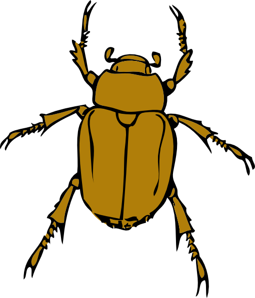 fly insect clipart - photo #35