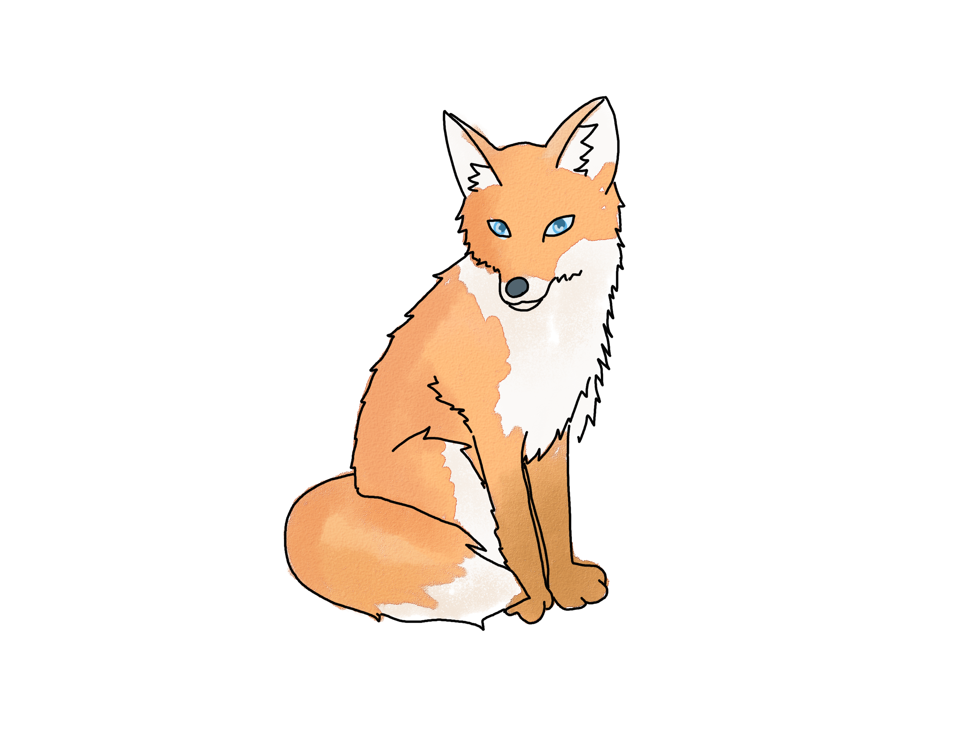 Draw-a-Fox-Step-18-Version-2.jpg