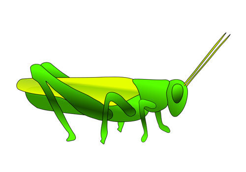 Cute Grasshopper free vector insects clipart design for free ...