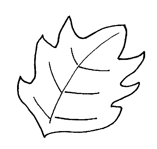 Ivy Leaf Template