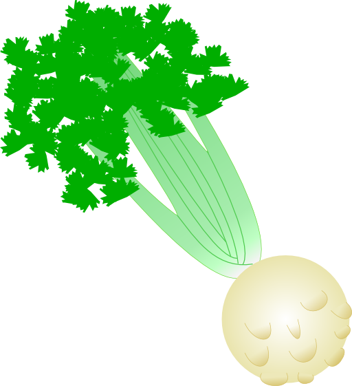Celery With Root Clipart Royalty Free Public Domain ...