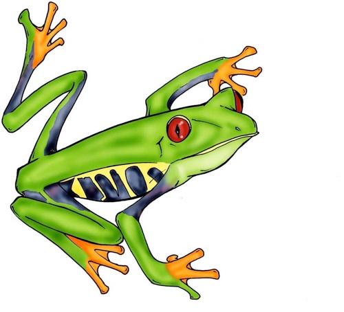 Green tree frog clipart