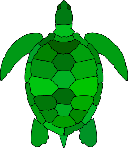 Turtle shell pattern clipart