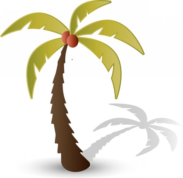 coconut tree clip art images - photo #49