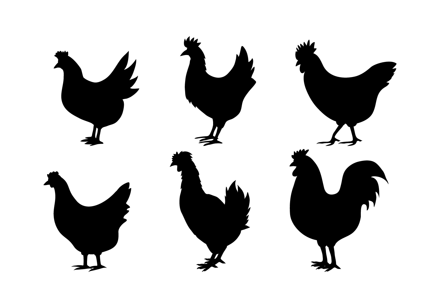 chicken clipart vector free download - photo #5