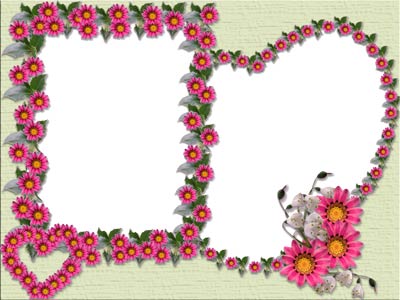 Flowers Frame for Photoshop | Frame Collection