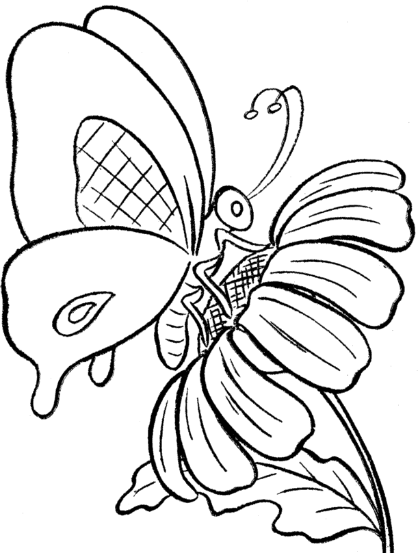 Butterfly In Flower Image In Line Drawing - ClipArt Best