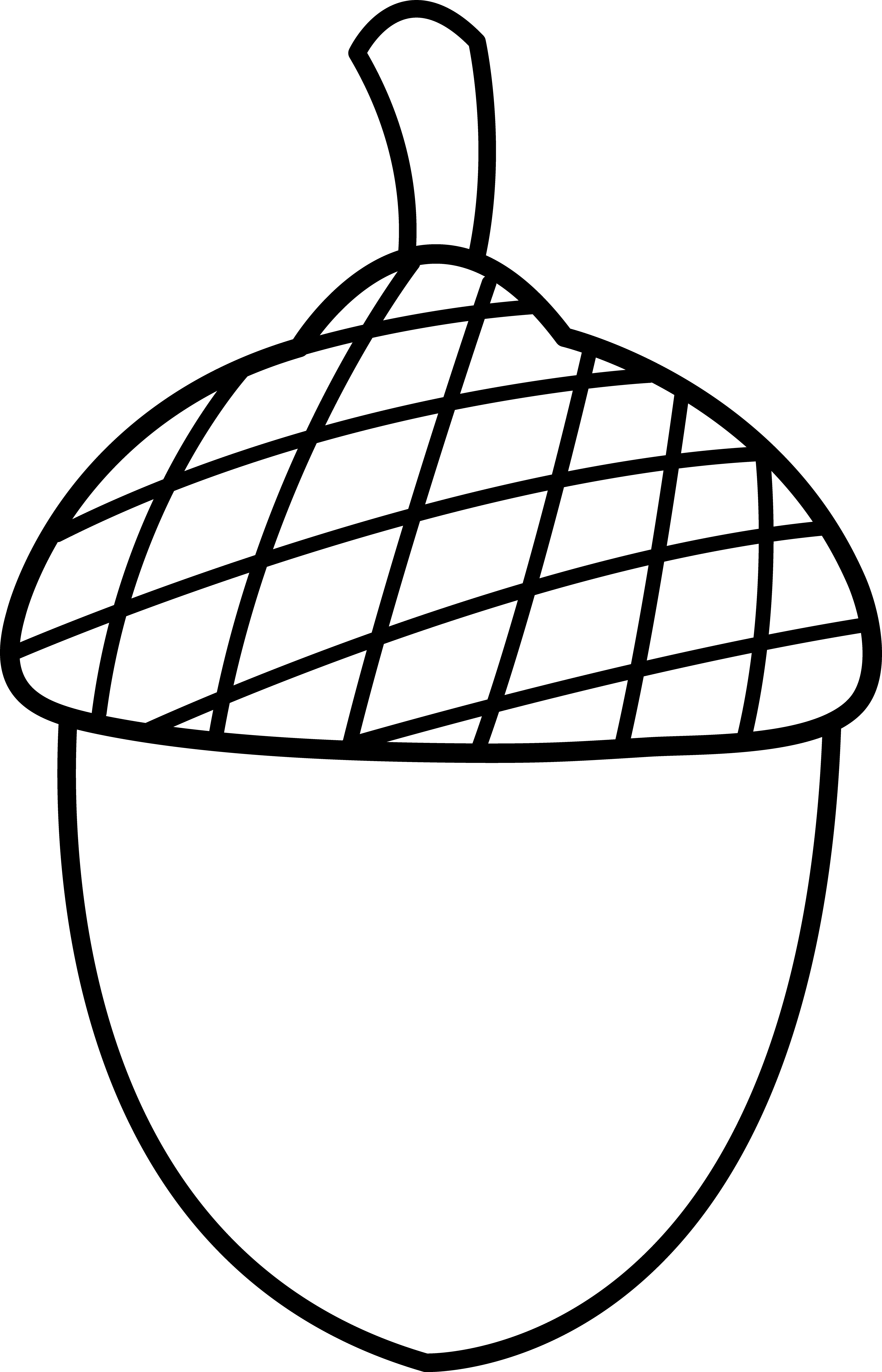 acorn-drawing-clipart-best