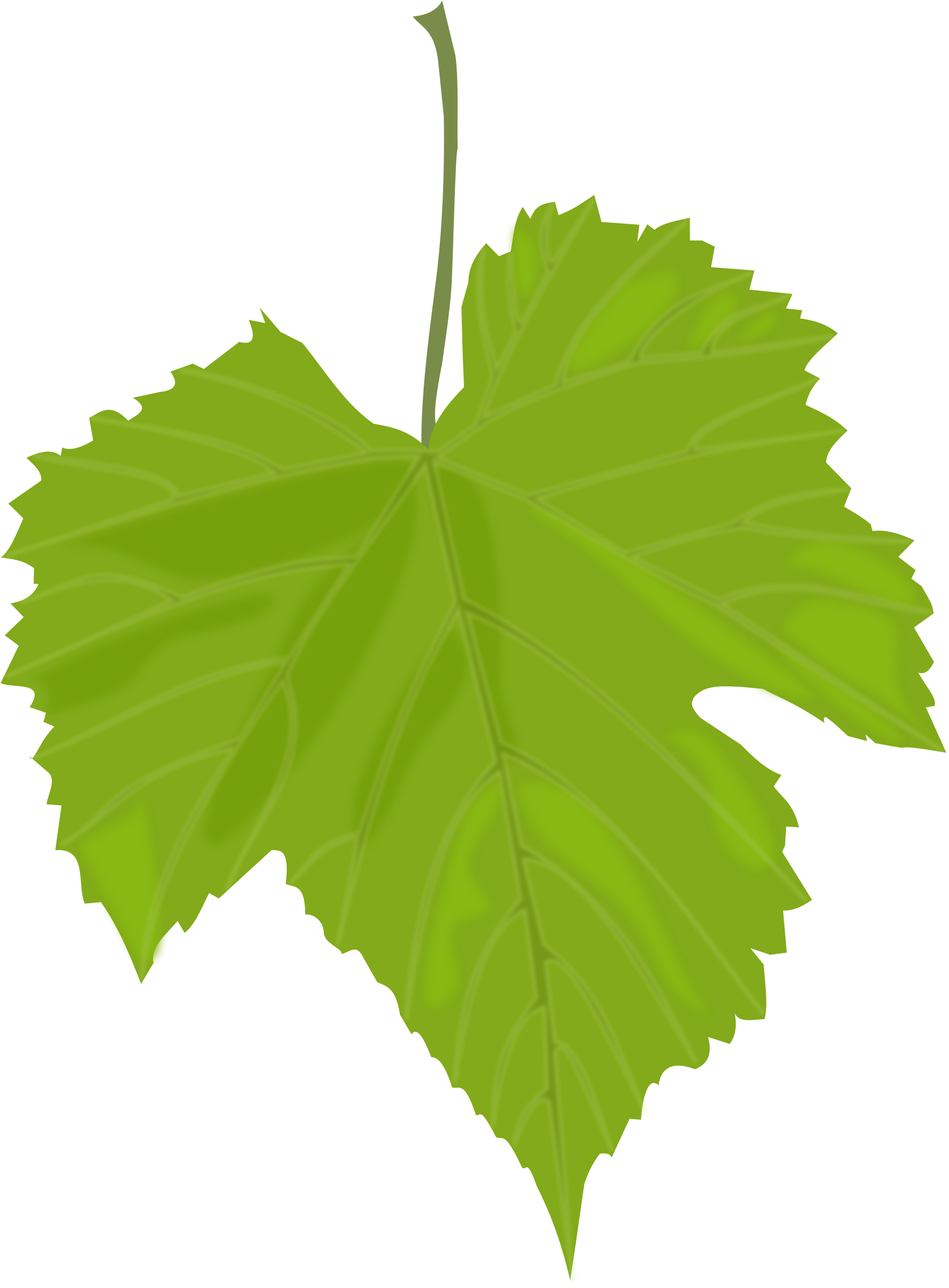 Clipart leaf png