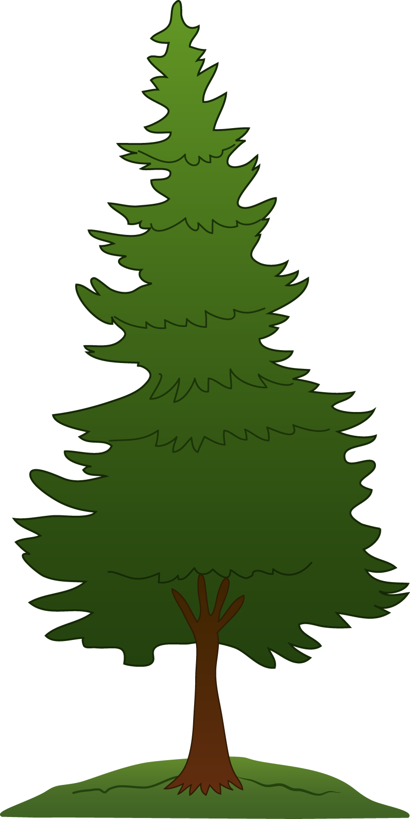 Best Pine Tree Clipart #24524 - Clipartion.com
