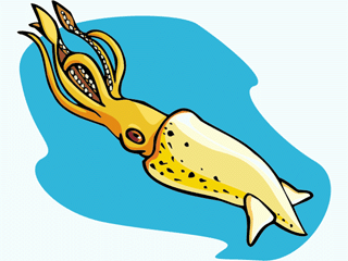 Fish graphics squid 762959 Fish Graphic Gif