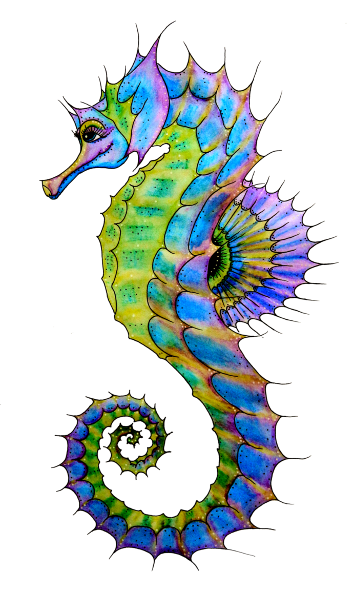 seahorse clip art - photo #26