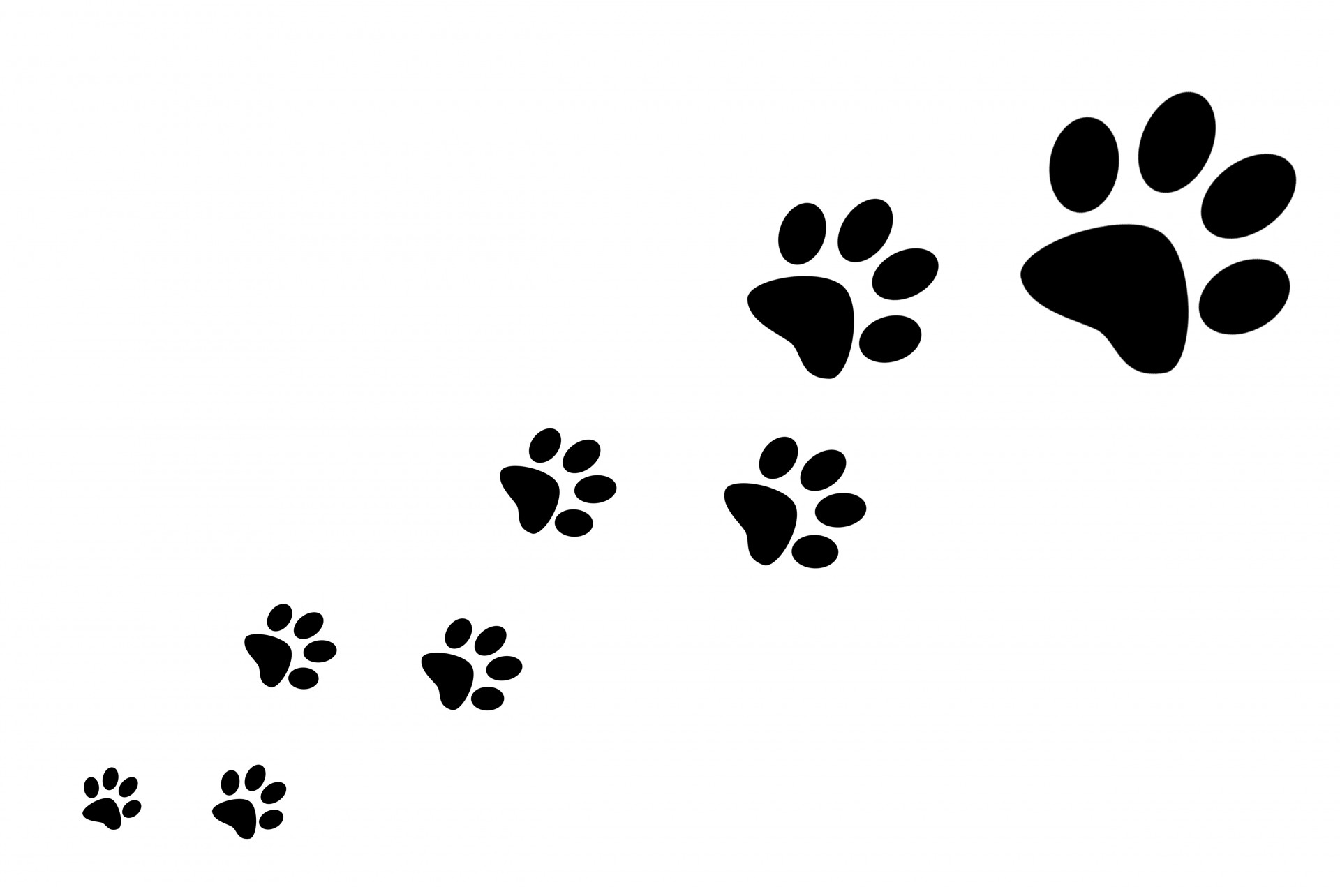 free clip art of dog paw prints - photo #44