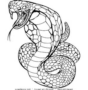 King Cobra Snake Drawing 5447 | DFILES