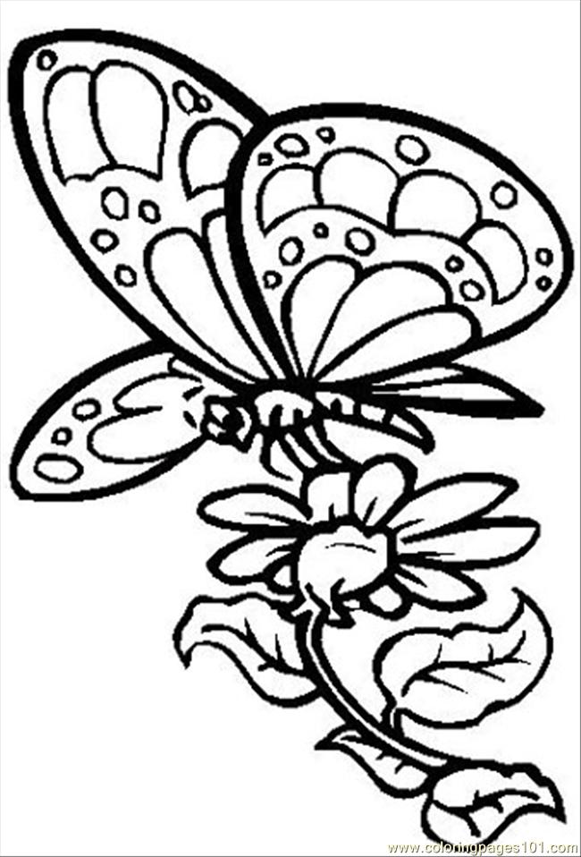 free butterfly coloring pages butterfly visiting flower - Coolage.net