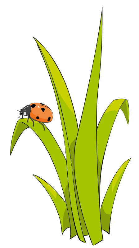 Grass Clipart | Free Download Clip Art | Free Clip Art | on ...