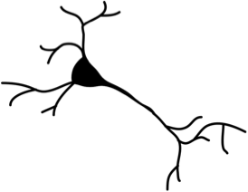 Picture Of Neurone - ClipArt Best
