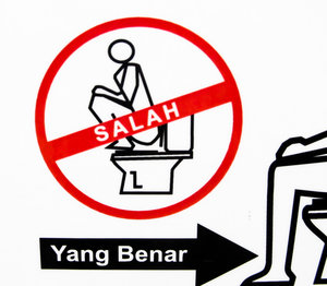 Signs On The World's Flush Toilets Teach Toilet Etiquette To Those ...