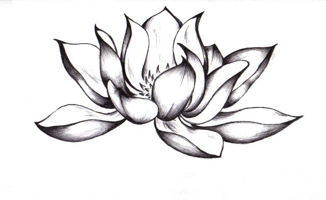 Flower Lotus Tattoo - ClipArt Best