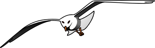 Seagull clip art Free vector in Open office drawing svg ( .svg ...