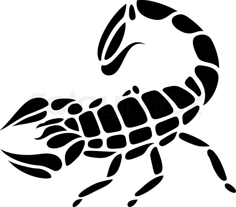 Black Scorpion Tattoo Sample | Tattoobite.com