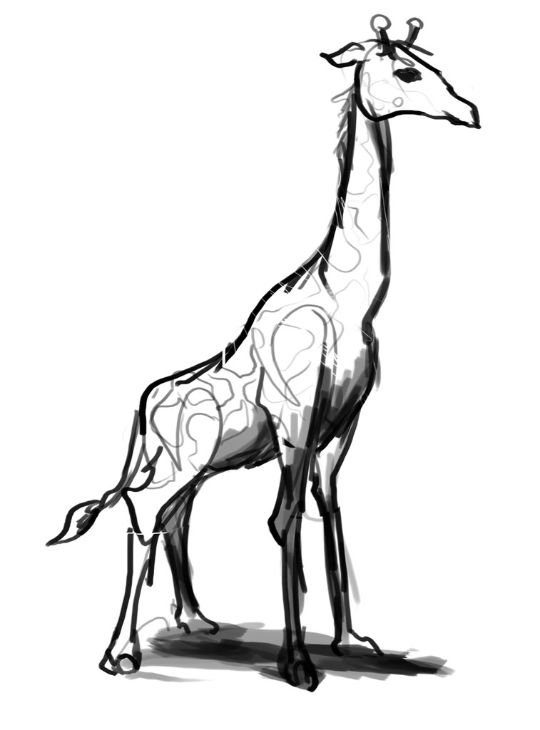 Line Art Giraffe : Giraffe line drawing clipart best
