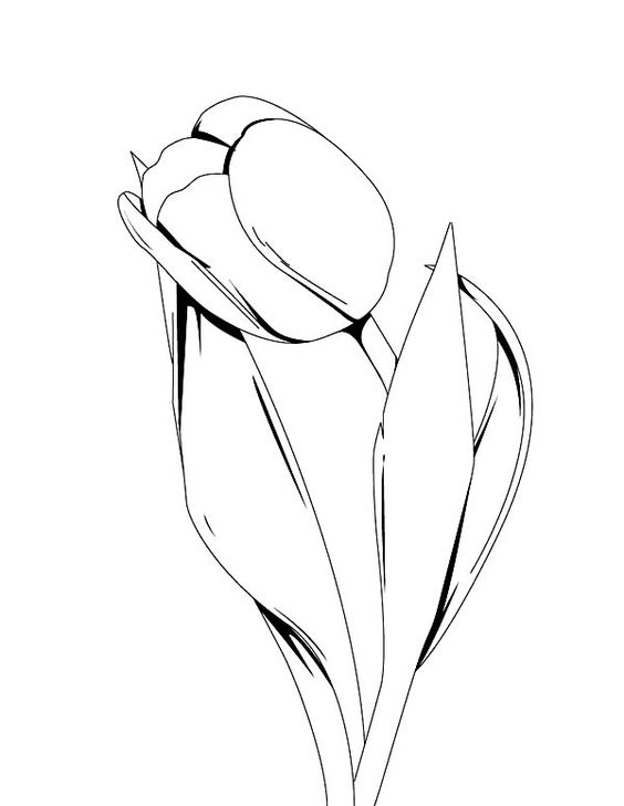 Coloring, Mandala coloring pages and Tulip
