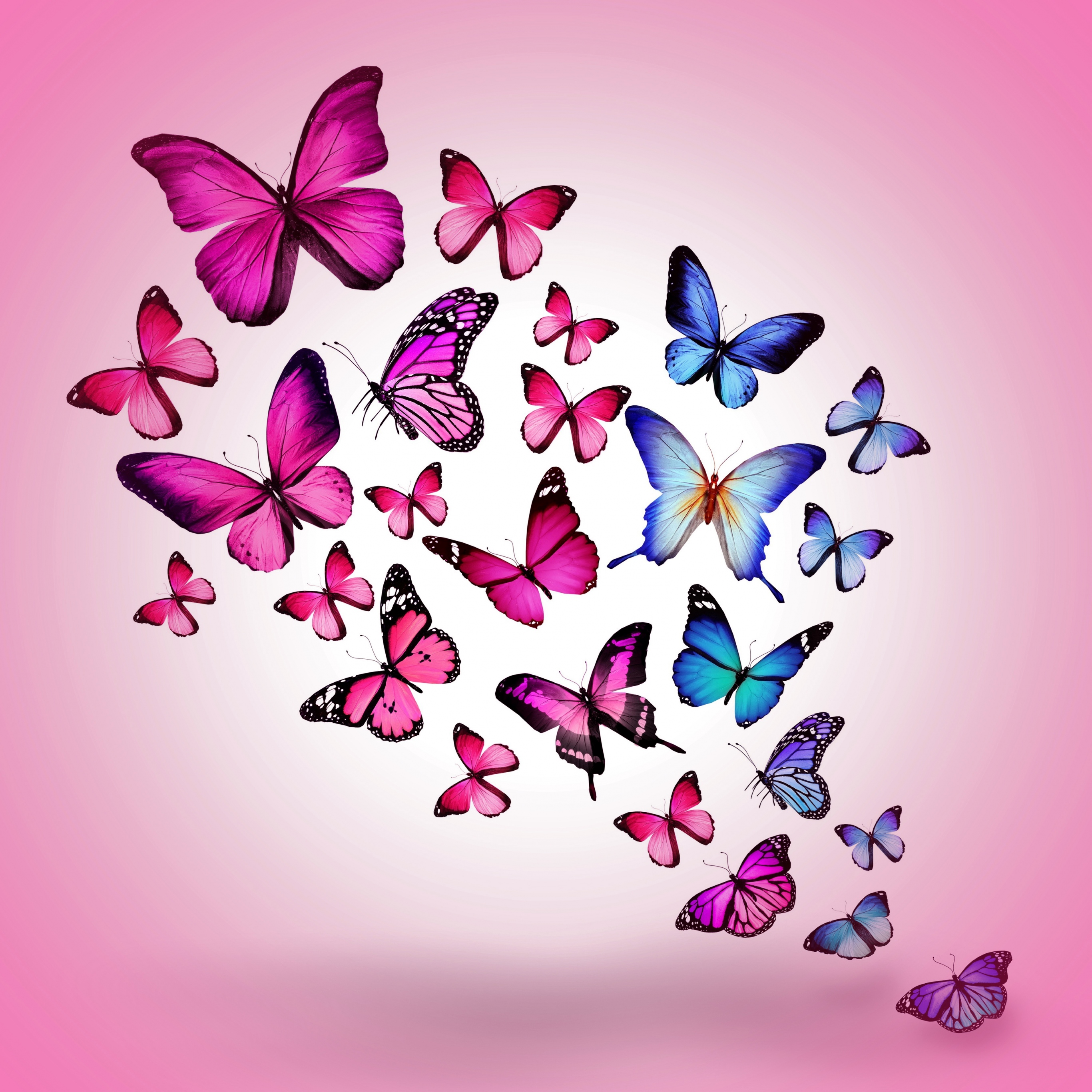 Download Wallpaper 2732x2732 Butterfly, Drawing, Flying, Colorful ...
