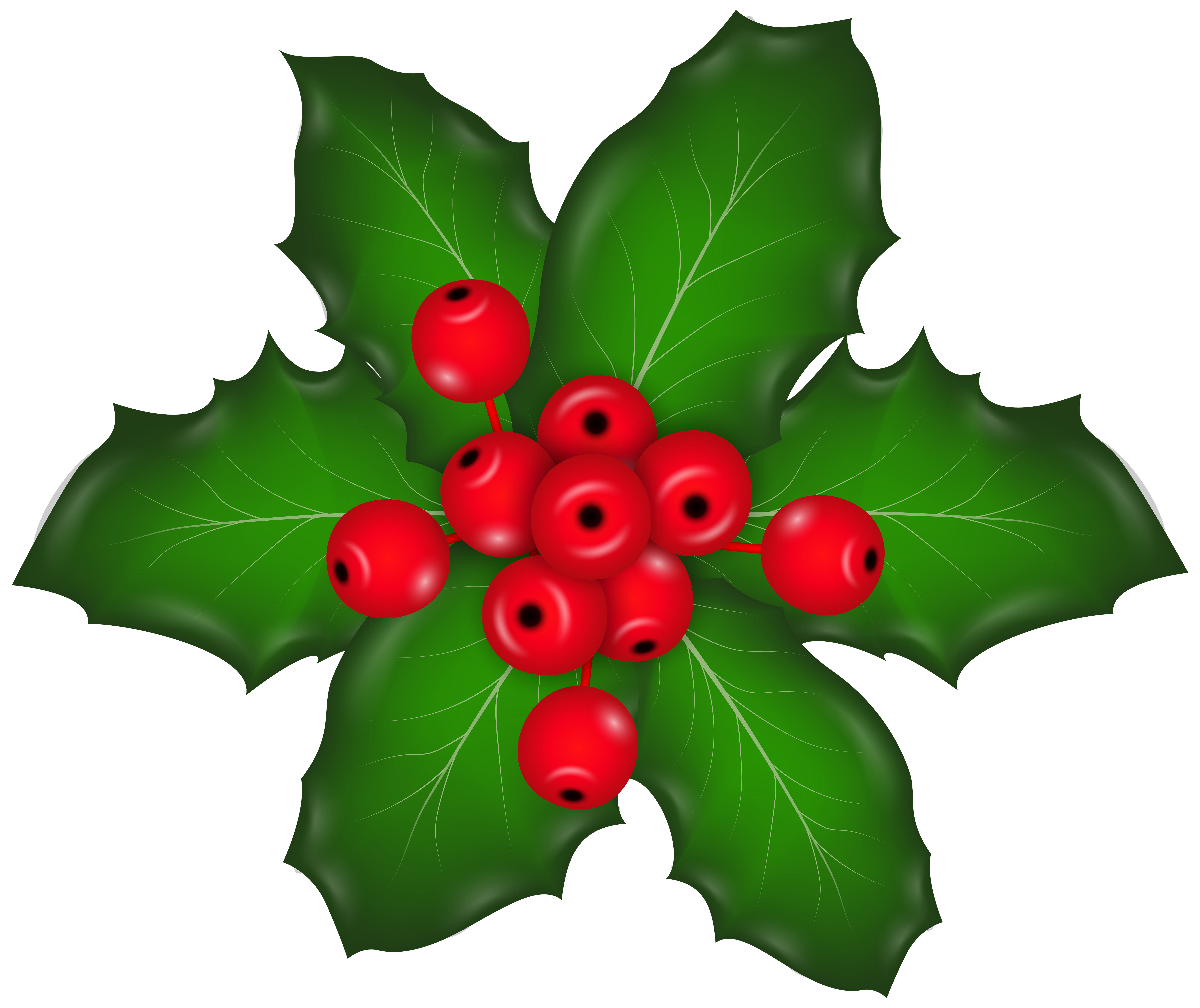 Christmas Mistletoe PNG Clip Art Image