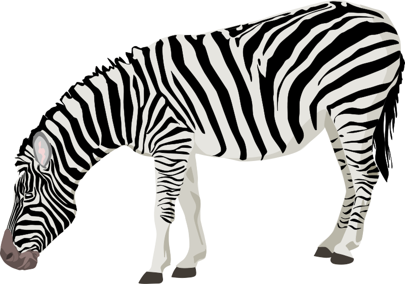 Zebra Clip Art Royalty FREE Animal Images | Animal Clipart Org