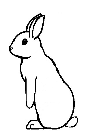 Best Photos of Rabbit Line Drawing - Drawing Bunny Rabbit Coloring ...