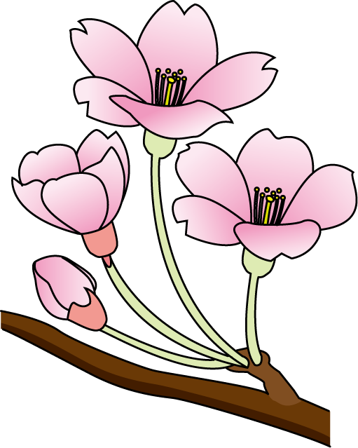 spring flower3-Material of flower-illpop com