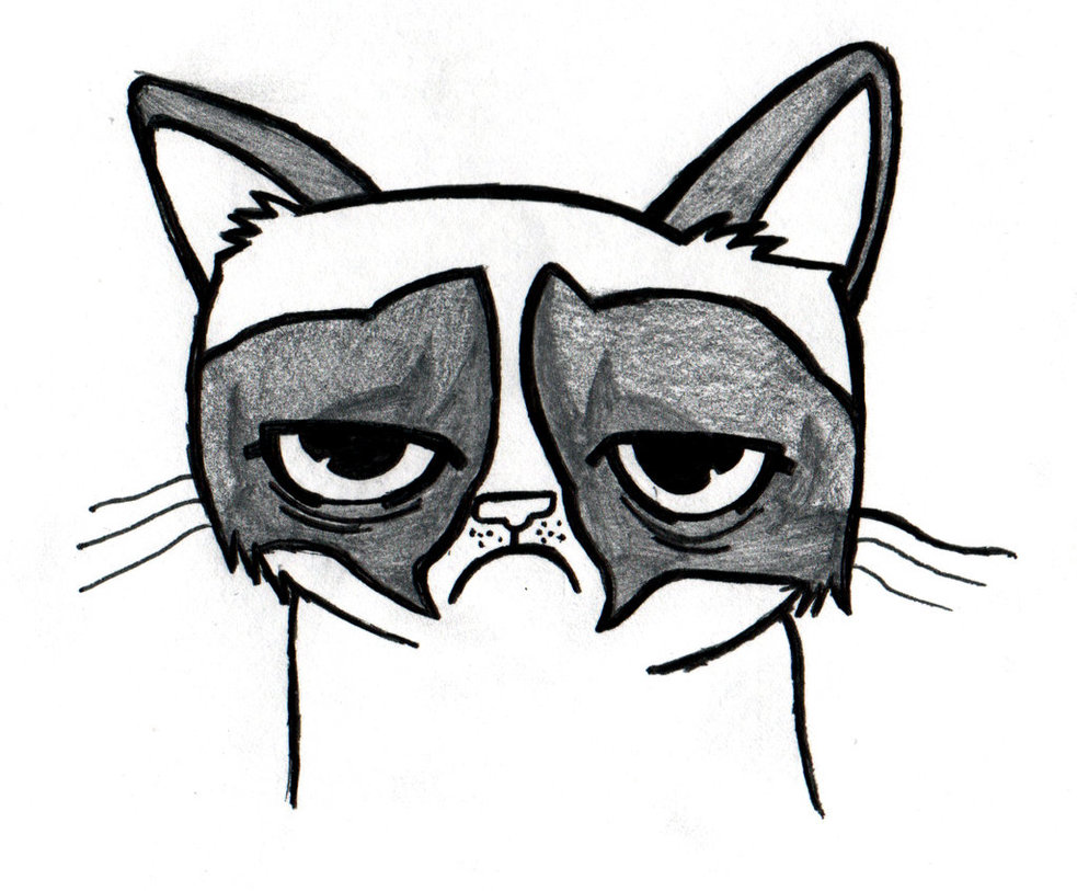 Grumpy Cat Drawing by JordanTuckerDesigns