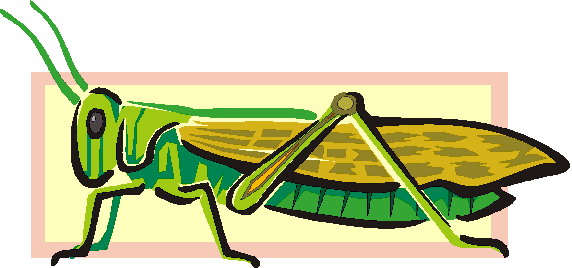 free clip art grasshopper - photo #37