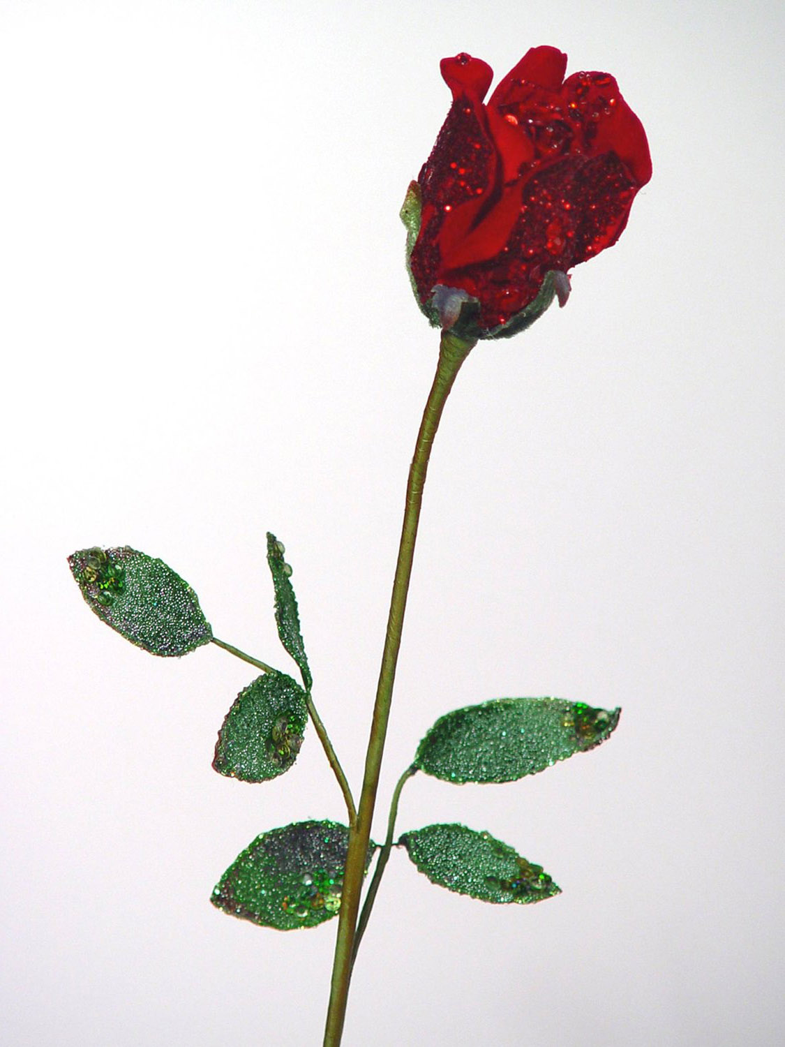 clipart long stem roses - photo #26